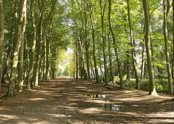 בקתה Luxe Nieuwbouw Aan Het Water *